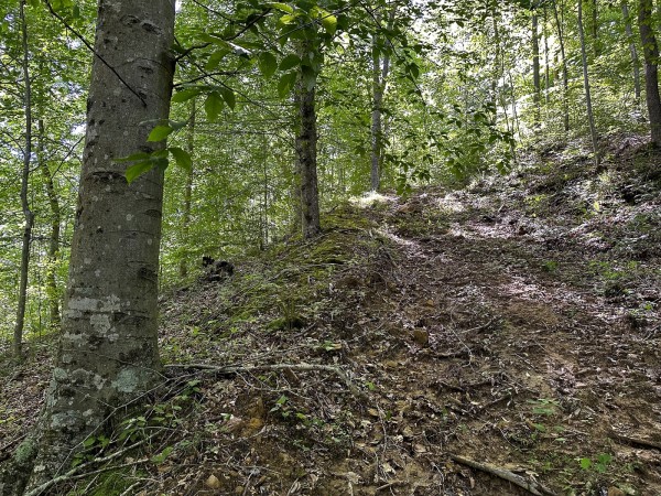 Tract 4 at The Woods on Wayne National Forest property photo