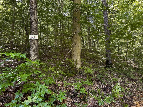 Tract 4 at The Woods on Wayne National Forest property photo
