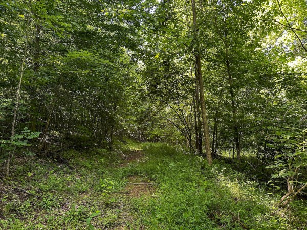 Tract 4 at The Woods on Wayne National Forest property photo