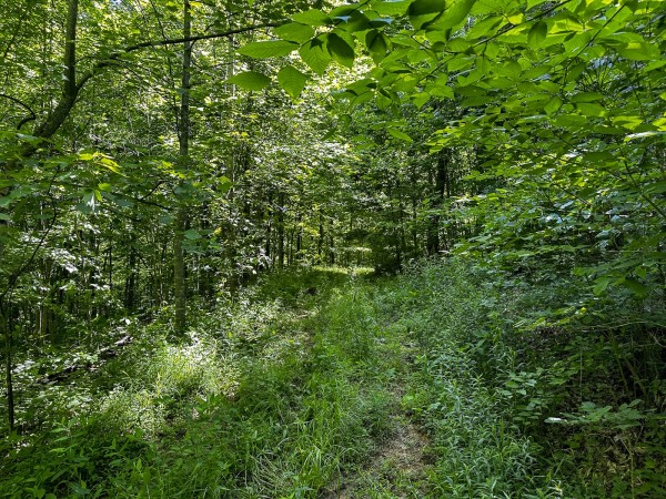 Tract 4 at The Woods on Wayne National Forest property photo