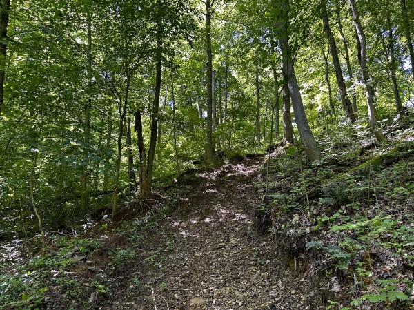 Tract 4 at The Woods on Wayne National Forest property photo