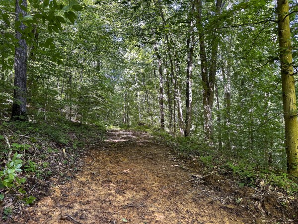 More of Tract 4 at The Woods on Wayne National Forest