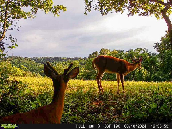 Tract 4 at The Woods on Wayne National Forest property photo