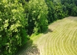 Tract 5 at The Woods on Wayne National Forest property photo
