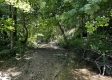 Tract 5 at The Woods on Wayne National Forest property photo