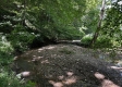 Tract 5 at The Woods on Wayne National Forest property photo