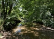 Tract 5 at The Woods on Wayne National Forest property photo