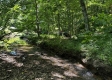 Tract 5 at The Woods on Wayne National Forest property photo