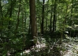 Tract 5 at The Woods on Wayne National Forest property photo