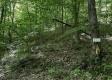Tract 5 at The Woods on Wayne National Forest property photo