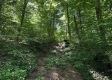 Tract 5 at The Woods on Wayne National Forest property photo