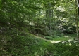 Tract 5 at The Woods on Wayne National Forest property photo