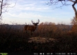 More of Tract 5 at The Woods on Wayne National Forest