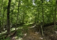 Tract 5 at The Woods on Wayne National Forest property photo