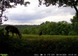 Tract 5 at The Woods on Wayne National Forest property photo