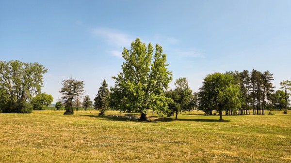 Tract 10 - Walnut Meadows property photo