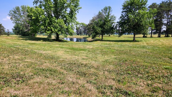 Tract 10 - Walnut Meadows property photo