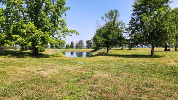 Tract 10 - Walnut Meadows property photo