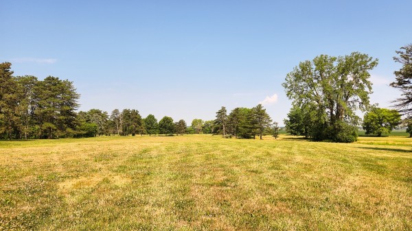 Tract 10 - Walnut Meadows property photo