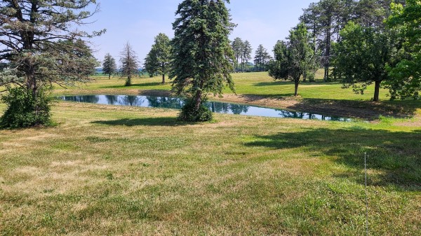 Tract 10 - Walnut Meadows property photo