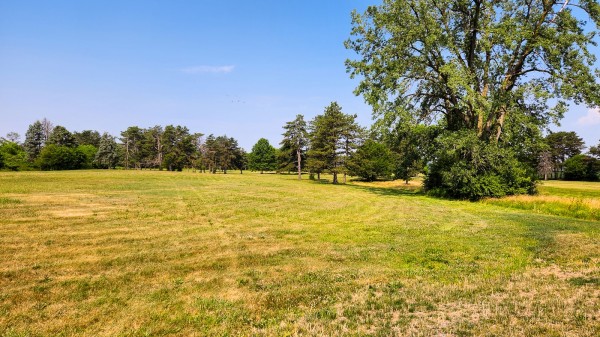 Tract 10 - Walnut Meadows property photo