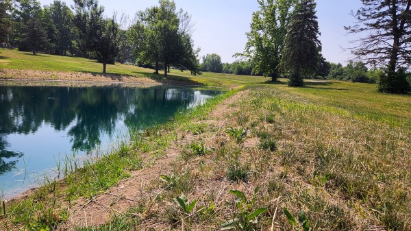 Tract 10 - Walnut Meadows property photo