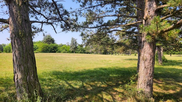 Tract 10 - Walnut Meadows property photo