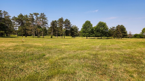 Tract 10 - Walnut Meadows property photo