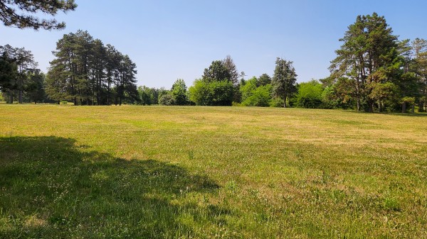 Tract 10 - Walnut Meadows property photo