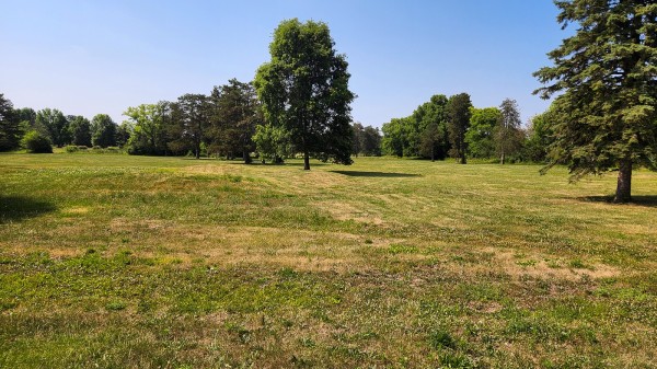 Tract 10 - Walnut Meadows property photo