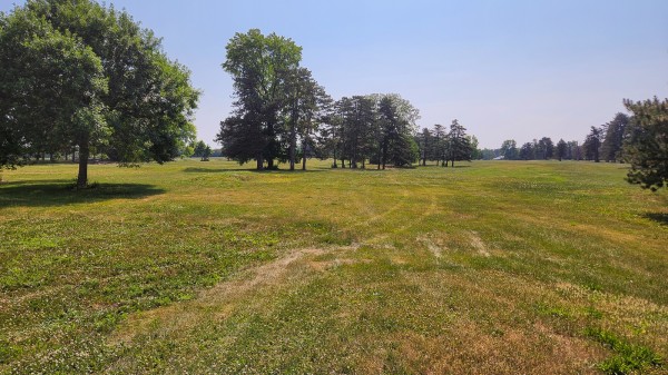Tract 10 - Walnut Meadows property photo
