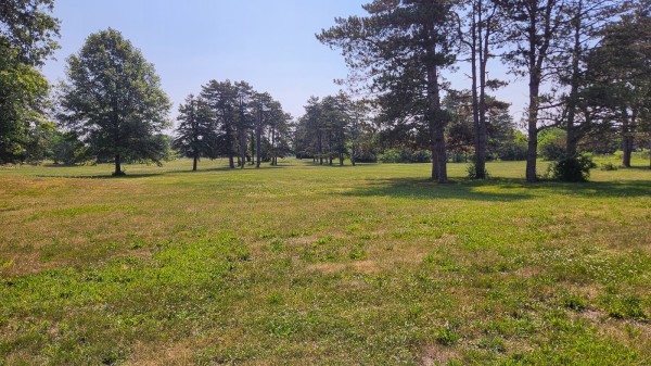 Tract 10 - Walnut Meadows property photo