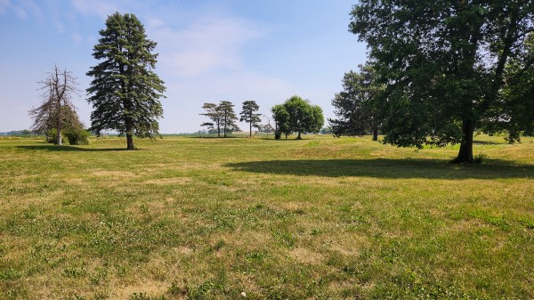 Tract 10 - Walnut Meadows property photo