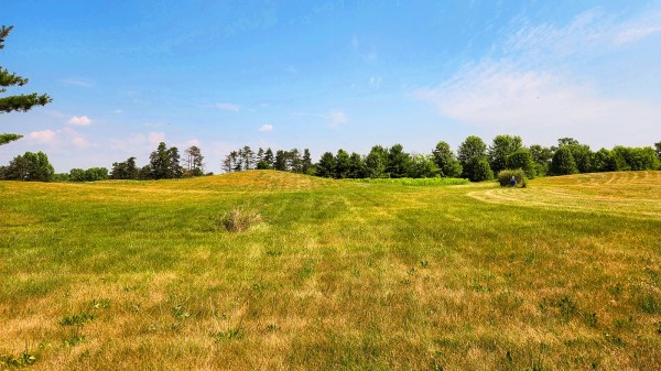 Tract 6 – Walnut Meadows property photo