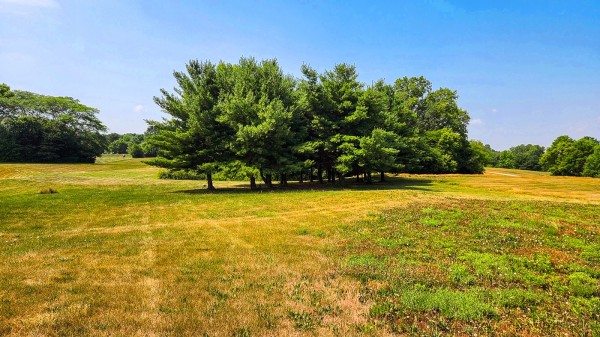 Tract 6 – Walnut Meadows property photo