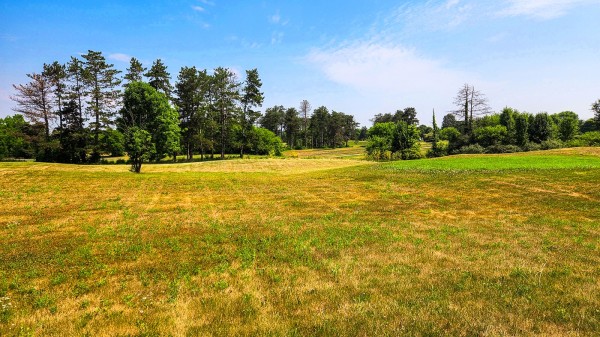Tract 6 – Walnut Meadows property photo