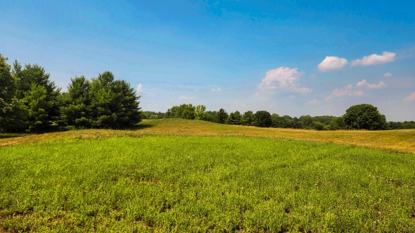 Tract 6 – Walnut Meadows property photo