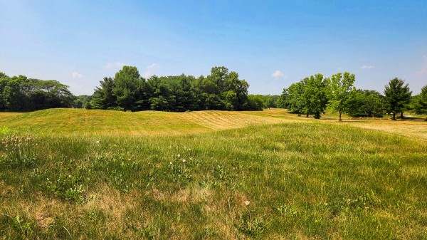 More of Tract 6 – Walnut Meadows