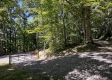 Tract 15 at The Woods on Wayne National Forest property photo