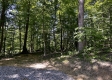 Tract 15 at The Woods on Wayne National Forest property photo