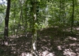Tract 15 at The Woods on Wayne National Forest property photo