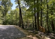 Tract 15 at The Woods on Wayne National Forest property photo