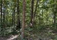 Tract 15 at The Woods on Wayne National Forest property photo