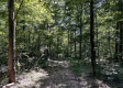 Tract 15 at The Woods on Wayne National Forest property photo
