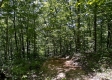 Tract 15 at The Woods on Wayne National Forest property photo