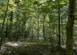 Tract 15 at The Woods on Wayne National Forest property photo