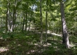 Tract 15 at The Woods on Wayne National Forest property photo