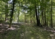 More of Tract 15 at The Woods on Wayne National Forest