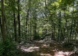 Tract 15 at The Woods on Wayne National Forest property photo