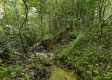 Tract 15 at The Woods on Wayne National Forest property photo